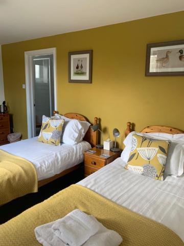 The Firs At Hay-On-Wye B&B Esterno foto