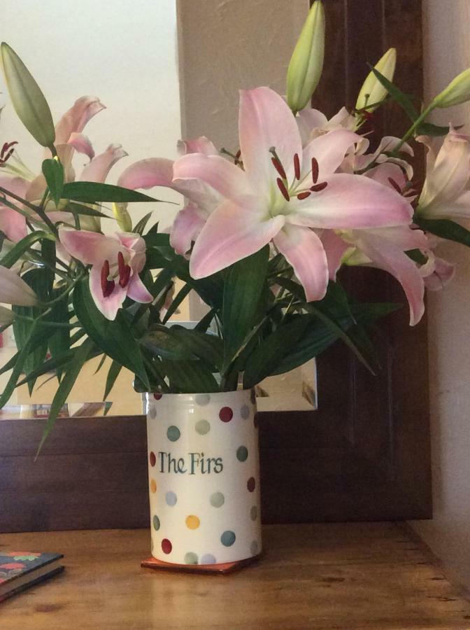 The Firs At Hay-On-Wye B&B Esterno foto
